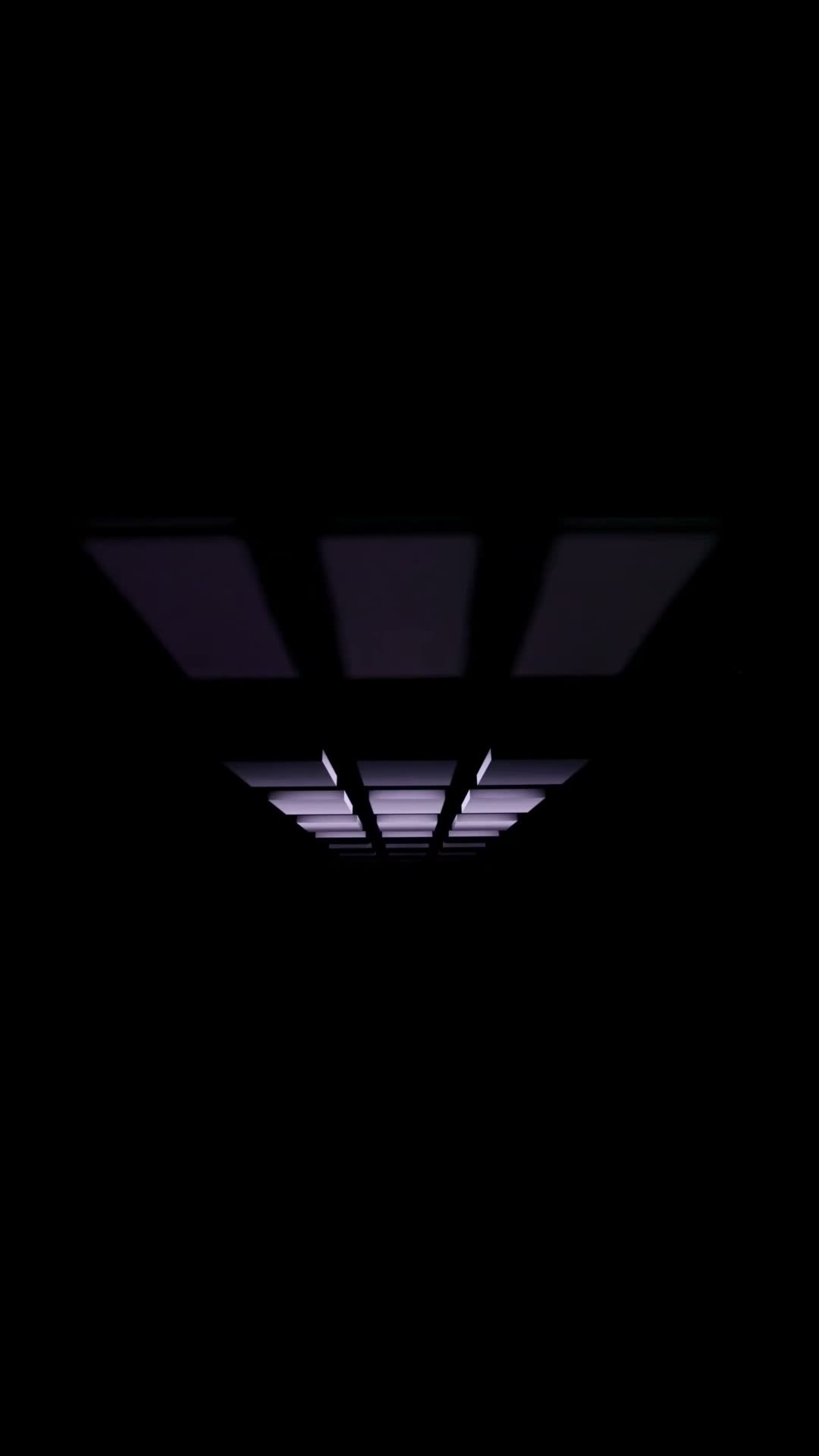 MTS — Platform Show Concept
